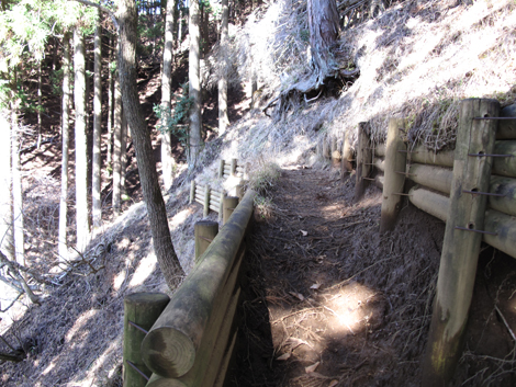 20161206hike (161)